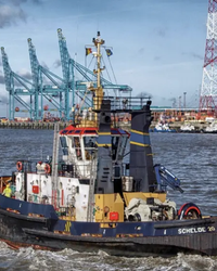 Thailand Cracks Down on Chinese Transshipment Schemes Amid U.S.-China Tariff War