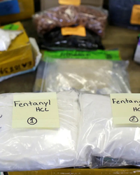 Chinese Money Laundering Networks and America’s Drug Crisis: A Hidden Pipeline Fueling Violence, Addiction, and National Risk