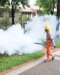 Chikungunya Virus Detected in New York? China’s Outbreak Signals a Growing Threat to American Health Security