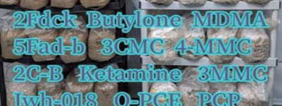 U.S. Attorney: Georgia Prison Drug Ring Trafficked Fentanyl From China Using Crypto, Contraband Phones and the Mail
