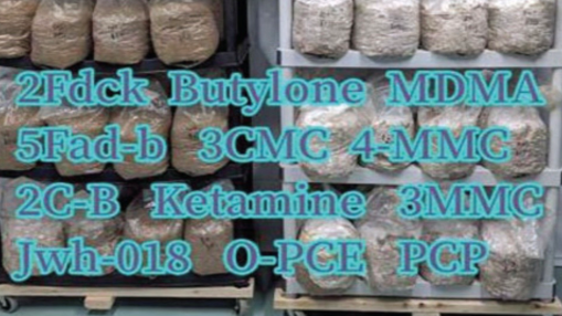 U.S. Attorney: Georgia Prison Drug Ring Trafficked Fentanyl From China Using Crypto, Contraband Phones and the Mail