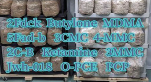 U.S. Attorney- Georgia Prison Drug Ring Trafficked Fentanyl From China Using Crypto, Contraband Phones and the Mail