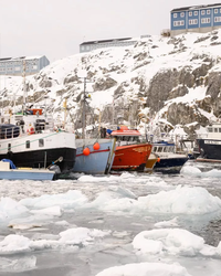 fishing-vessels-greenland