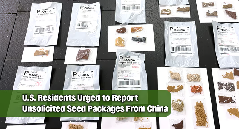 Unsolicited Seeds, Silent Risks: How China-Linked Shipments Expose a Growing Biosecurity Threat to the United States
